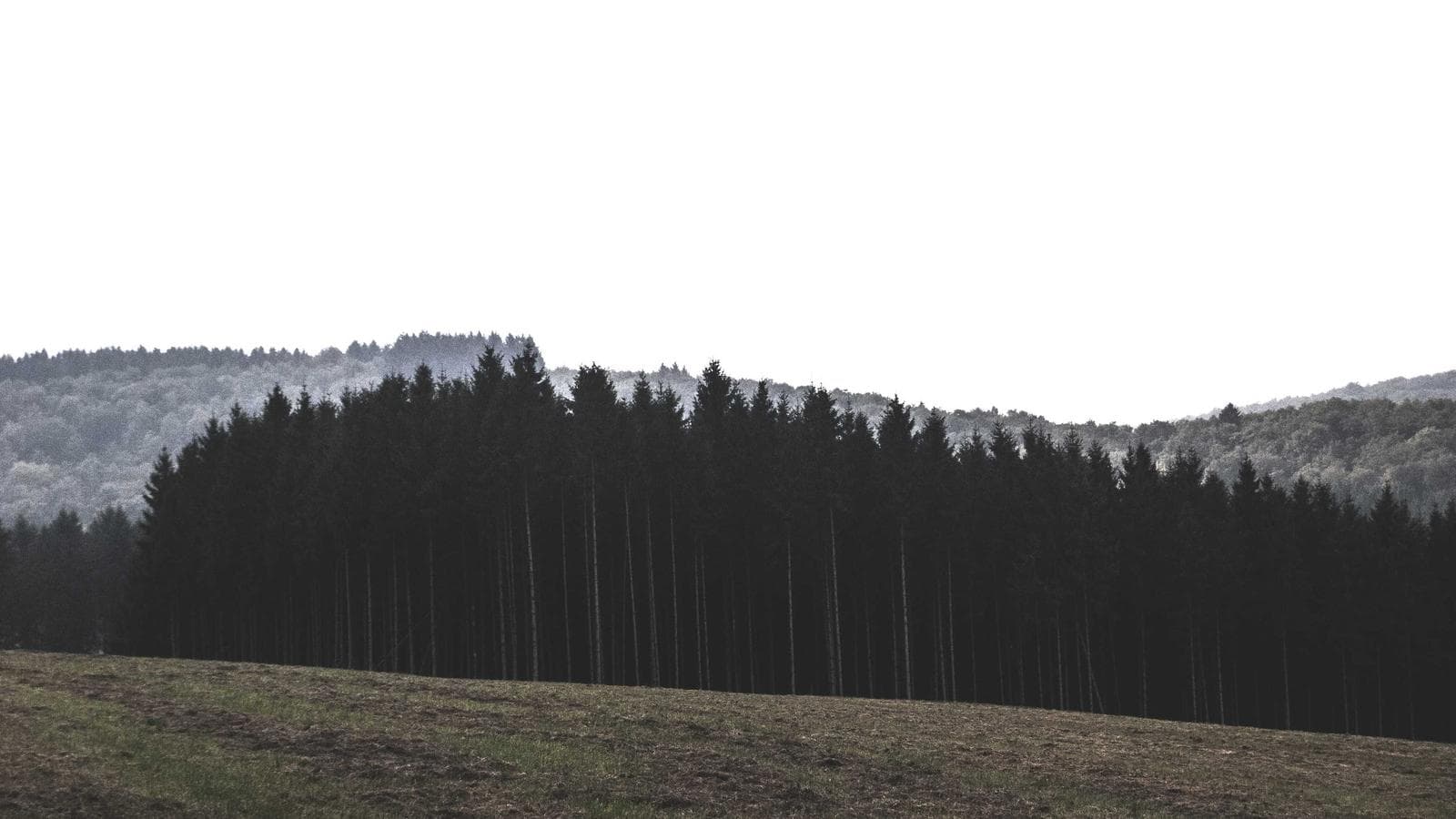 The Midnight RGB Build — photo 4 of 4